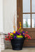 Meadow Magic - Large Porch Pot